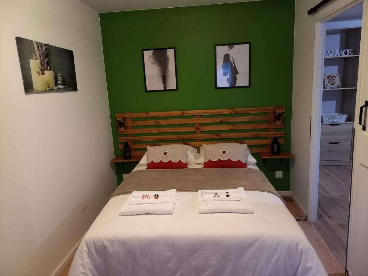 Le Passage Gite Cocooning A Colmar Centre Touristique Eksteriør billede