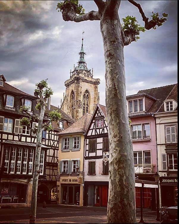 Le Passage Gite Cocooning A Colmar Centre Touristique Eksteriør billede